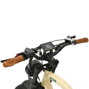 VTT Électrique à Suspension Complète fafrees OneSport W66 500W 20&Prime; Fat Bike 648Wh