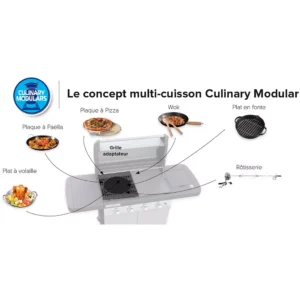 Barbecue gaz CAMPINGAZ 4 Series WLD