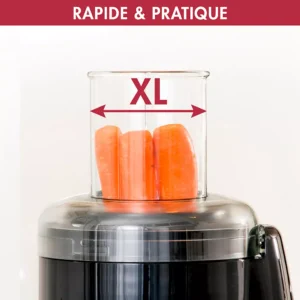 Extracteur de jus MAGIMIX 18083F Juice Expert 4