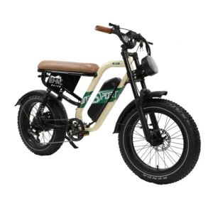 VTT Électrique à Suspension Complète fafrees OneSport W66 500W 20&Prime; Fat Bike 648Wh
