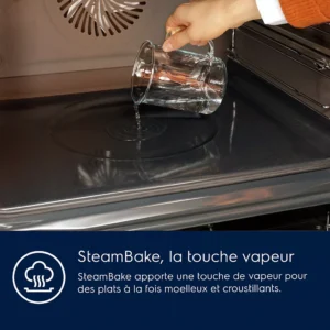 Four Pyro ELECTROLUX EOD6P67WH SteamBake