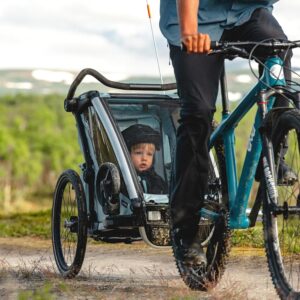 Thule Chariot Cross 1 – Remorque Vélo pour 1 Enfants – alaska