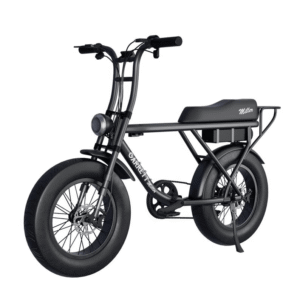 Vélo électrique biplace cargo garrett miller x, batt simple, pneus route