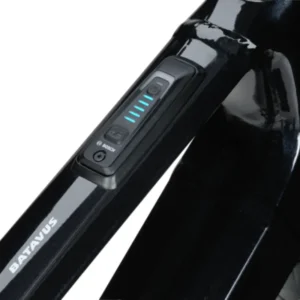Vélo électrique Batavus Razer E-Go Exclusive
