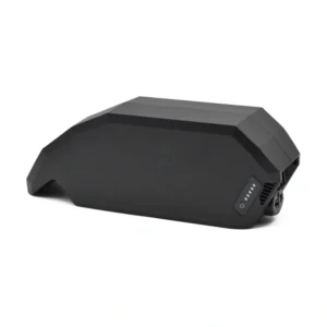 Batterie Bosch PowerPack 700 Performance/Active cadre par E-Bike Vision
