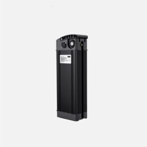 Batterie Vélo Électrique Engwe T14