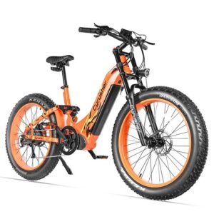 vélo à assistance électrique Cyrusher Trax