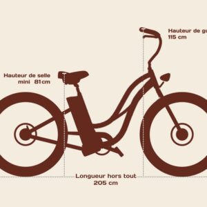 Vélo électrique femme Lady Gorille