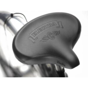 Vélo électrique Electra Ghostrider Go! 5i