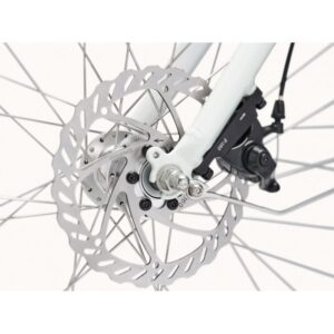 Vélo électrique ville Electra LOFT GO! 7D EQ STEP-THRU 2025