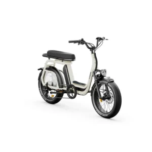 Elwing Ritmic Duo vélo électrique cargo biplace