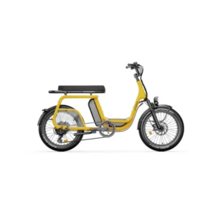 Elwing Ritmic Duo vélo électrique cargo biplace