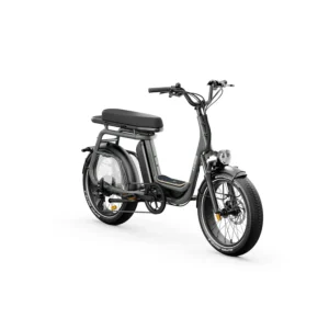 Elwing Ritmic Duo vélo électrique cargo biplace