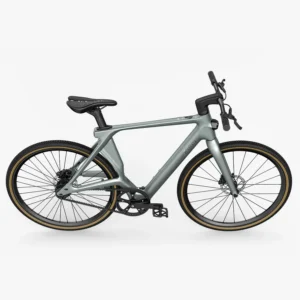 Fiido Air Vélo Électrique en Fibre de Carbon