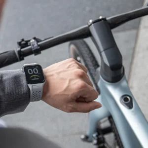 Fiido Air Vélo Électrique en Fibre de Carbon