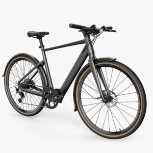 Fiido C21 Vélo électrique Urbain