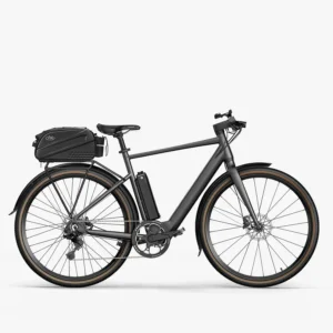 Fiido C21 Vélo électrique Urbain