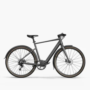 Fiido C21 Vélo électrique Urbain