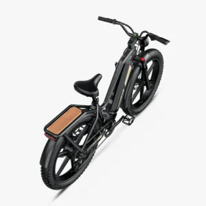 Fiido Titan Fat Tire Touring Vélo électrique