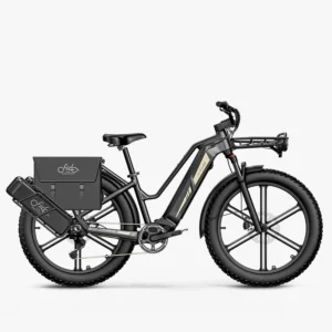 Fiido Titan Fat Tire Touring Vélo électrique