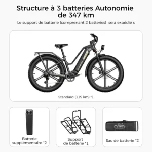 Fiido Titan Fat Tire Touring Vélo électrique