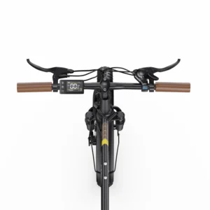 Vélo électrique pliable fafrees OneSport OT16-2 250W 20&Prime;  48V 17AH Batterie