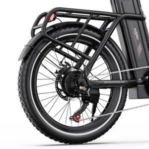Vélo électrique pliable fafrees OneSport OT16-2 250W 20&Prime;  48V 17AH Batterie