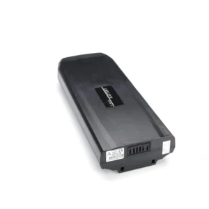 Phylion Wall ES 37V 14.5Ah batterie vélo chargeur