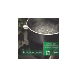 Plaque induction SAUTER STI1544B Boil