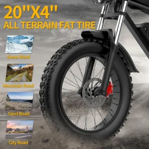 Ridstar Q20 1500W 48V 20AH gros pneu vélo électrique