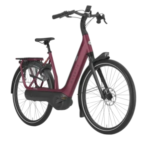 VTC électrique Gazelle Avignon C8 HMB