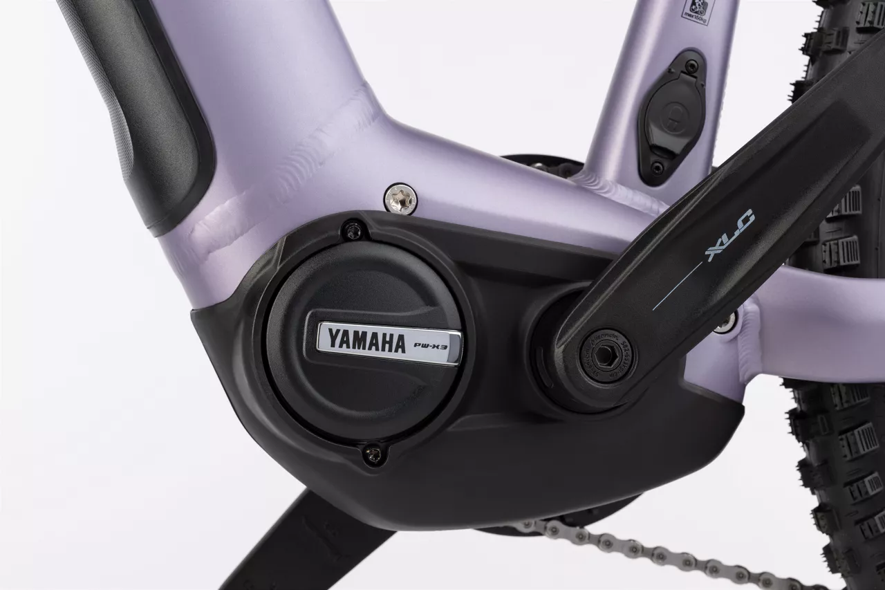 Fred Bike