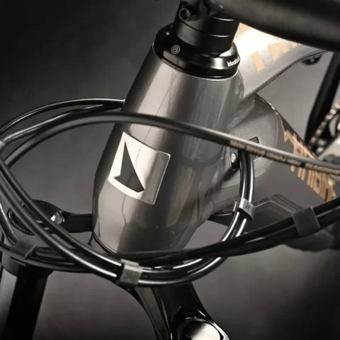 Fred Bike