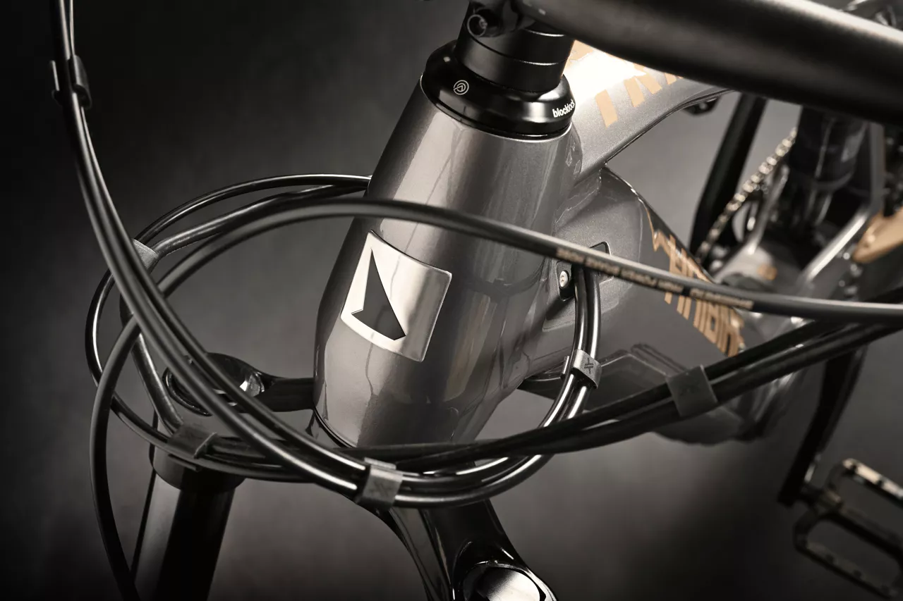 Fred Bike