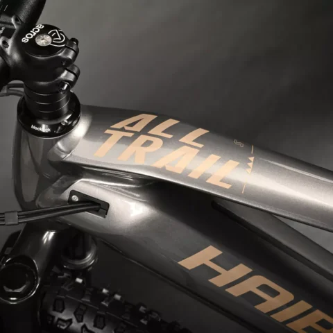 Fred Bike