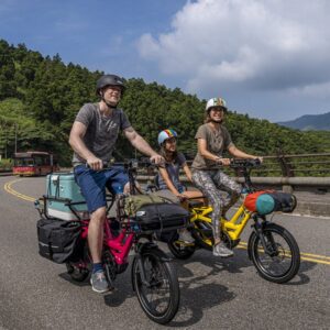 Vélo cargo électrique Tern GSD S10 LR