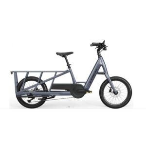 Vélo cargo électrique Trek Fetch+ 2