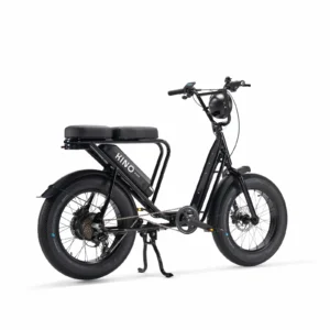Vélo cargo électrique le Bolide
