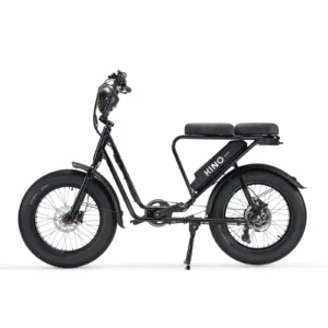 Vélo cargo électrique le Bolide
