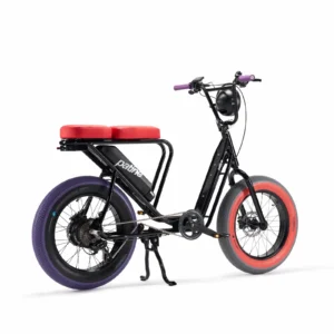 Vélo cargo électrique le Bolide x Patine