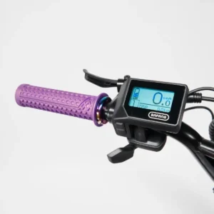 Vélo cargo électrique le Bolide x Patine