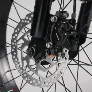 Vélo cargo électrique le Bolide x Patine