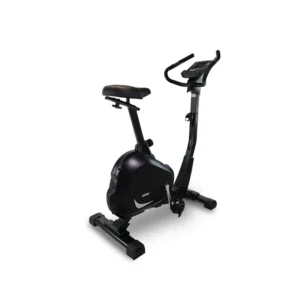 Vélo d&rsquo;appartement BH Artic Dual