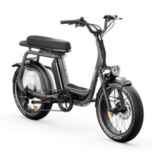 Vélo électrique Elwing Ritmic Duo