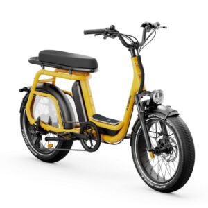 Vélo électrique Elwing Ritmic Duo