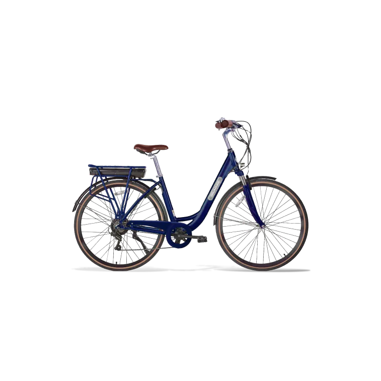 Vélo électrique Folio Brumaire
