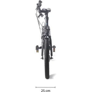 Vélo électrique Momentum Electric 2wenty