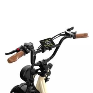 Vélo électrique ONESPORT W77, Moteur 250W, Batterie 48V18AH