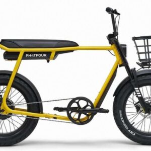Vélo électrique Phatfour FLX