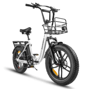 Vélo électrique Pliant SAMEBIKE C05 Pro